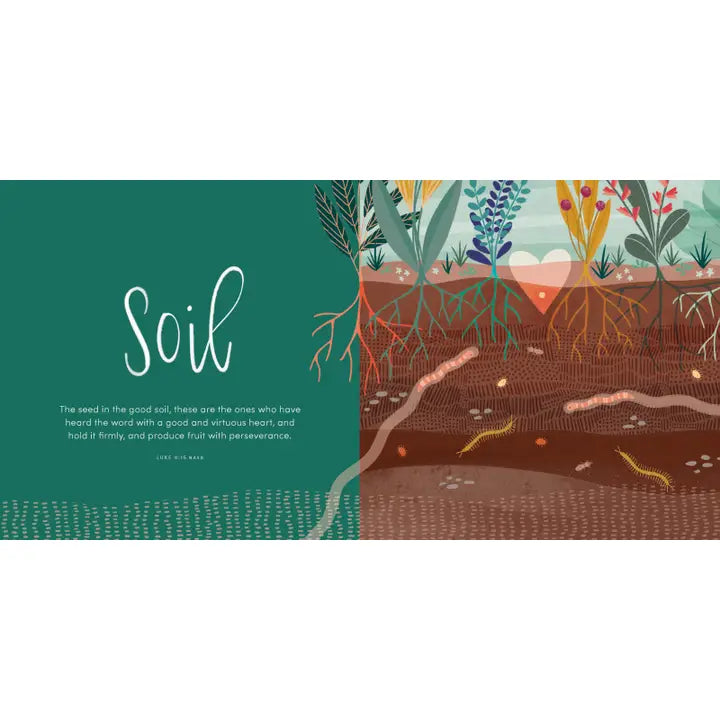 The Kingdom of Heaven | Board Book