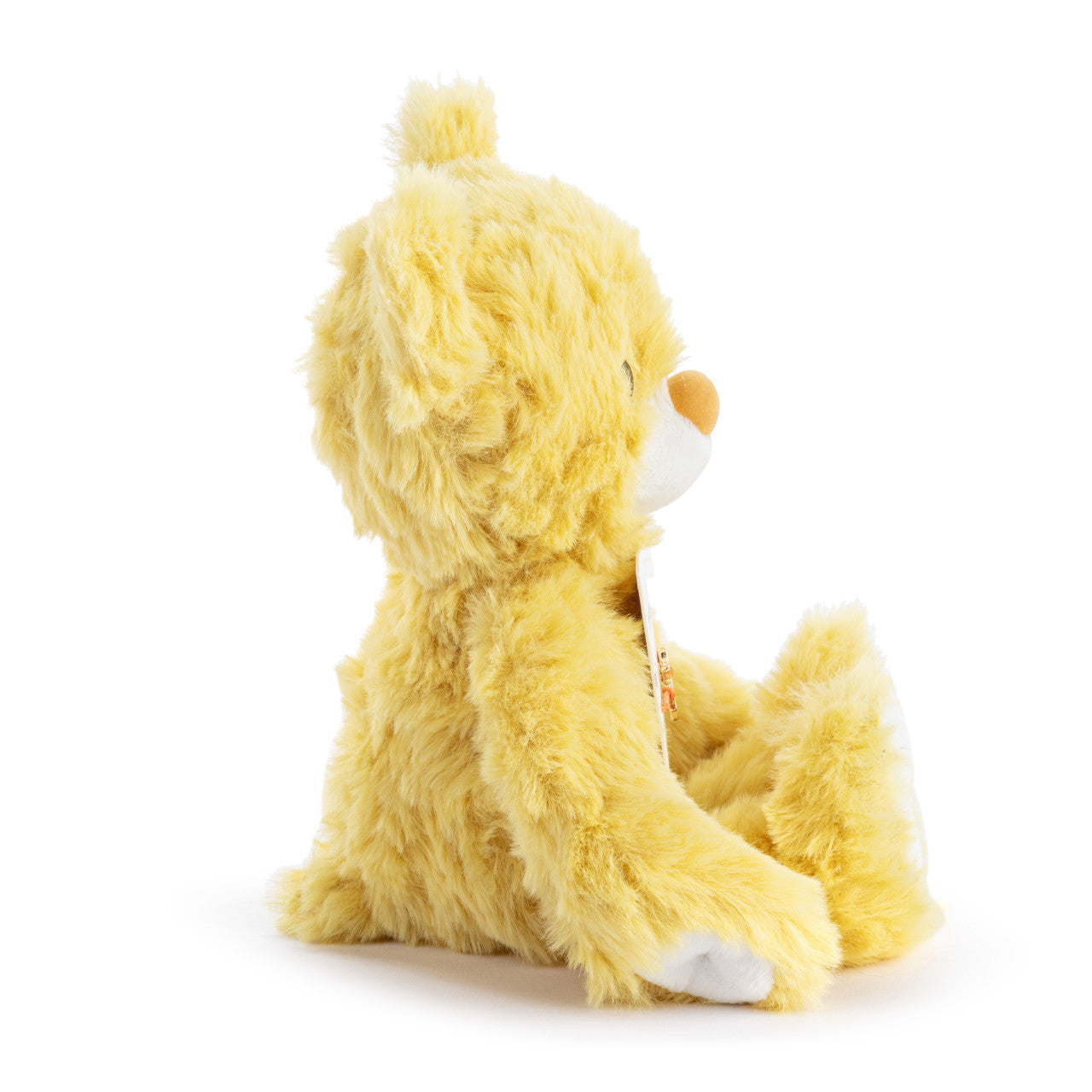 You Are My Sunshine | Bear & Bracelet Set