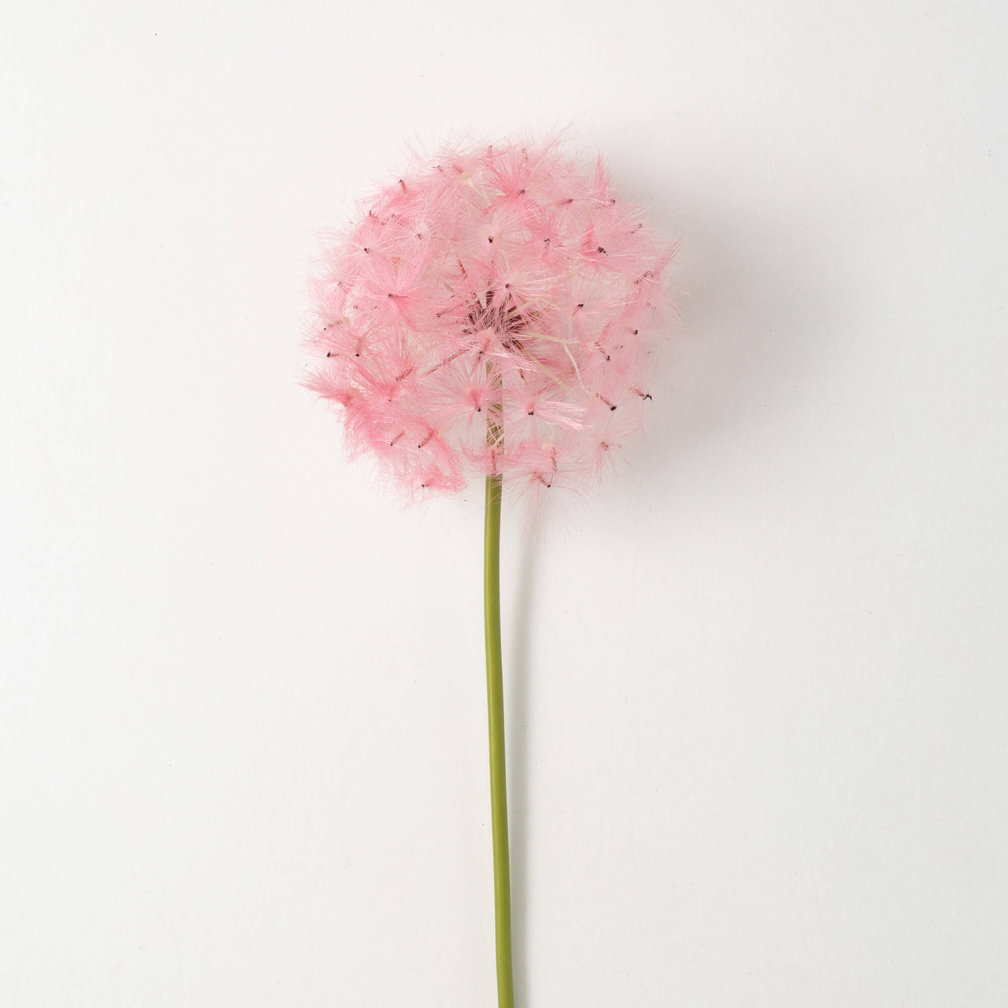 Dandelion Flower Stem | Pink | 24-32"