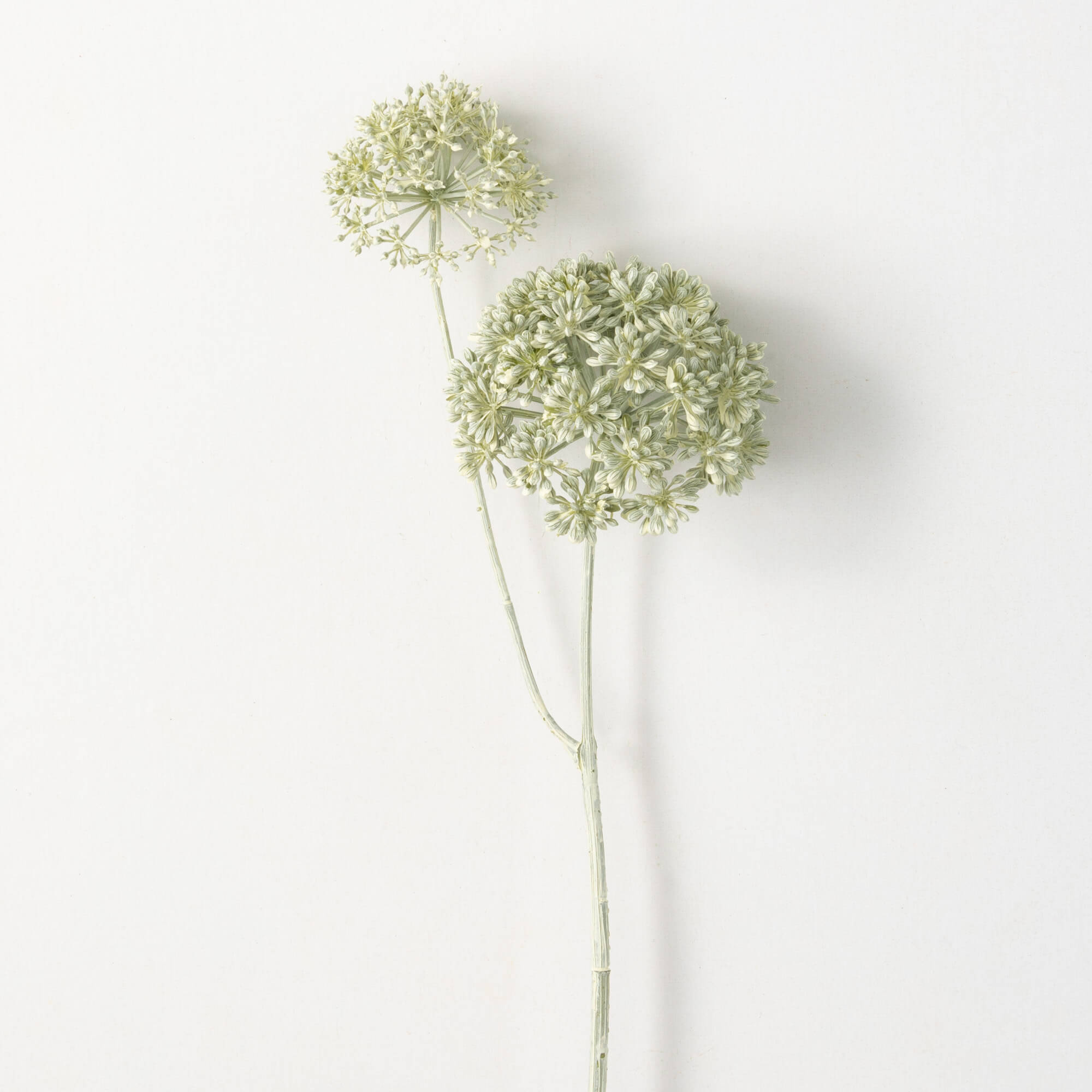 Seed Pod Spray | 30"