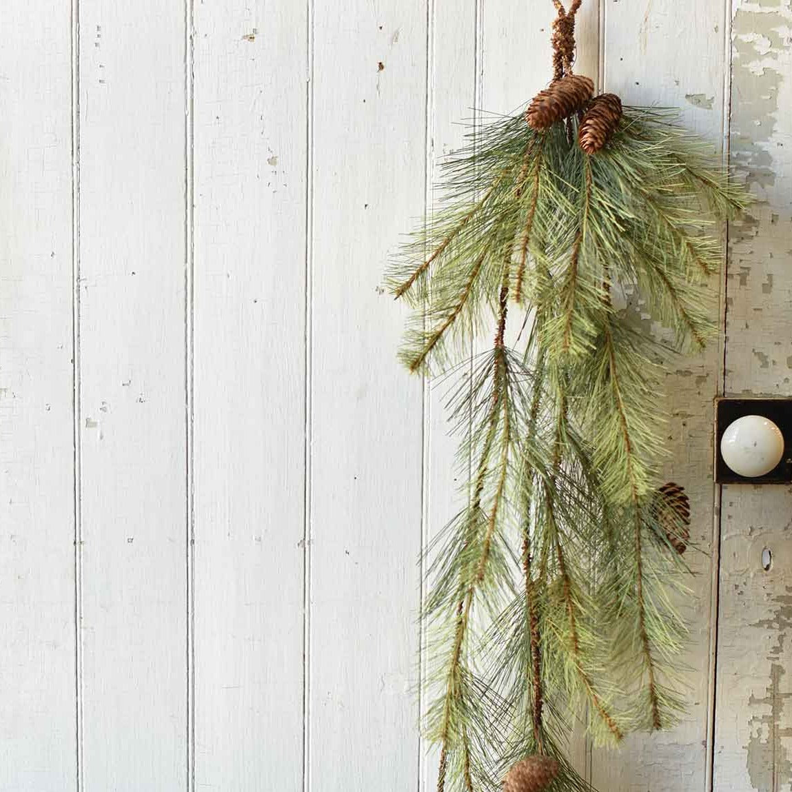 Long Needled Pine Hanging Vine | 4'