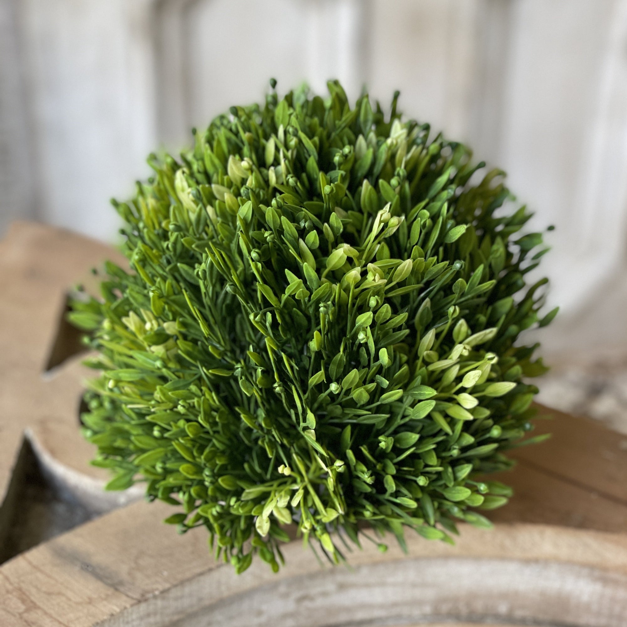 Spring Seeded Half Sphere | 5.5"