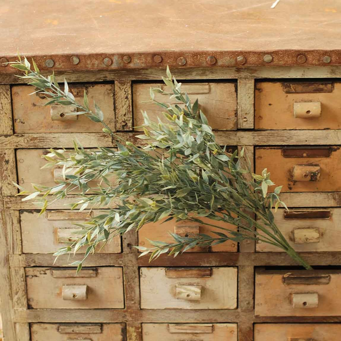 Twilight Ash Leaves Bush | 20"