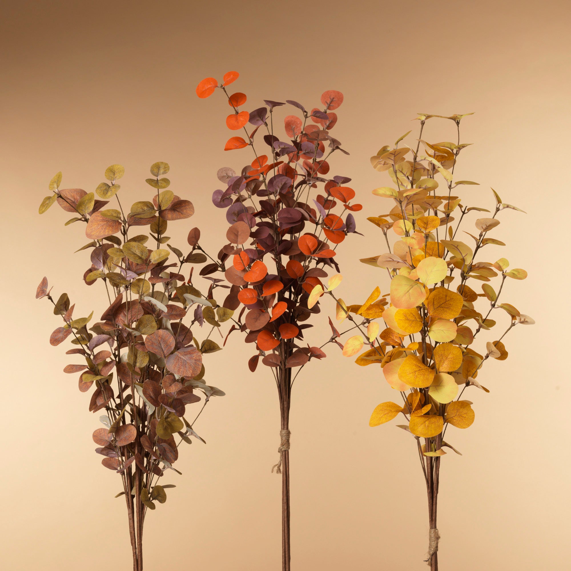 Harvest Eucalyptus Stem