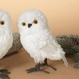 White Owl | 6.5" & 9"