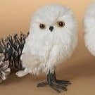 White Owl | 6.5" & 9"