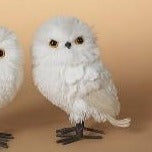 White Owl | 6.5" & 9"