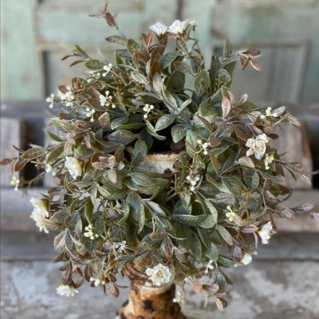 Blooms Ring | Cream | 8"