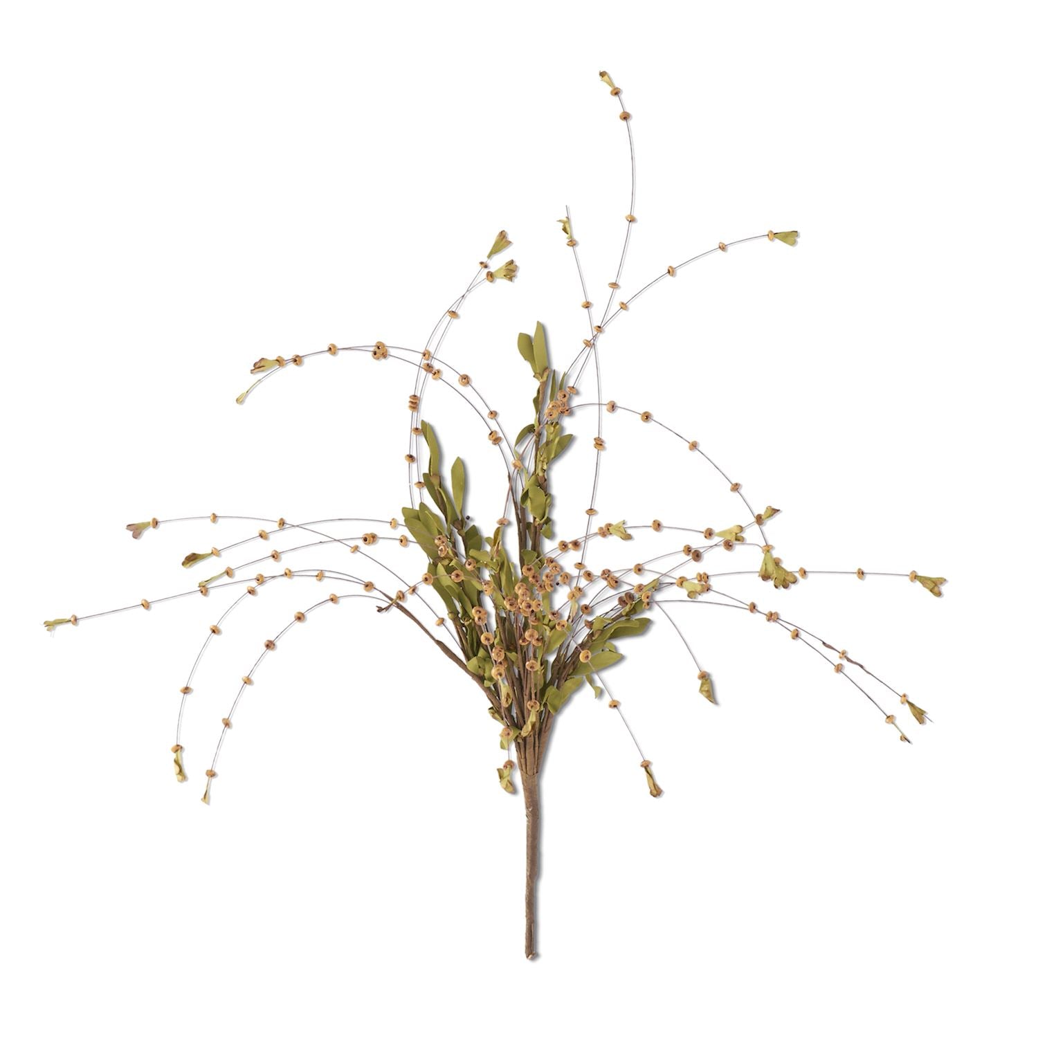 Autumn Bead Bush