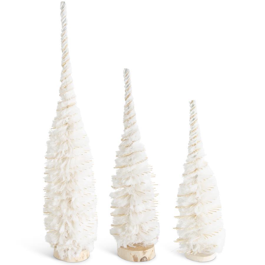 Spiral Bottlebrush Tree