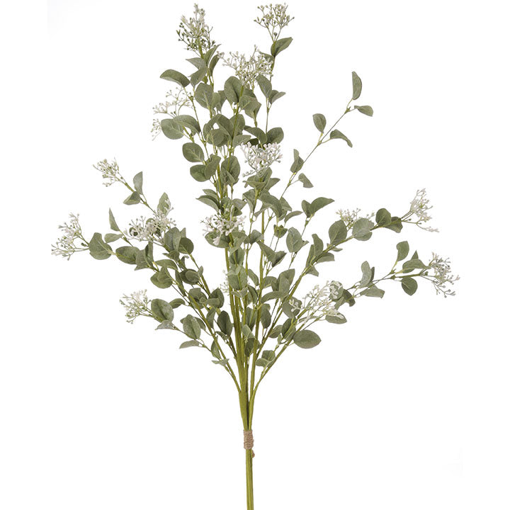 Seeded Eucalyptus Stem