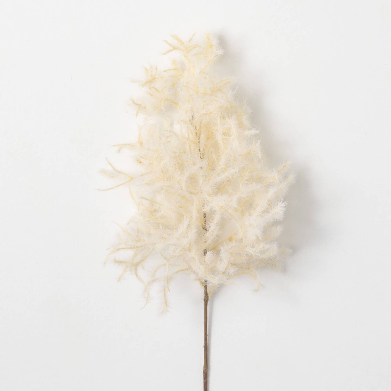 Dried Floral Spray | Cream | 23.5"