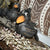 Quirky Crow