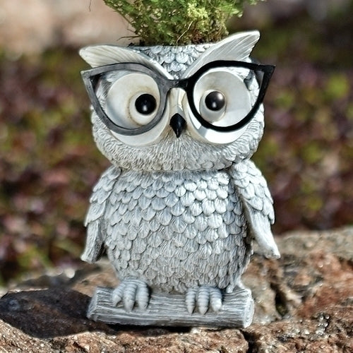 Owl with Glasses | Planter
