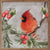 Winter Cardinal | Wall Art