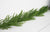 Norfolk Pine Garland | Soft Touch | 5'