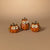 Harvest Owl Pumpkin
