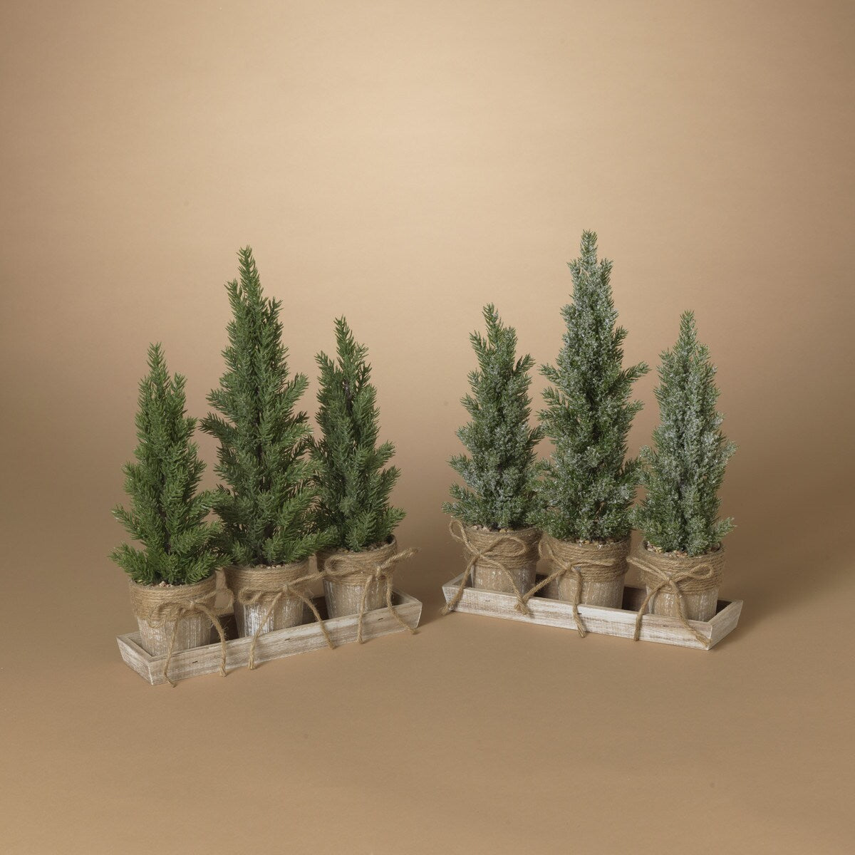 Potted Pine Trees on Tray