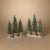 Potted Pine Trees on Tray