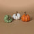 Squatty Harvest Pumpkin