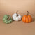 Squatty Harvest Pumpkin