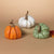 Squatty Harvest Pumpkin