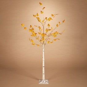 Fall Birch Tree | Electric