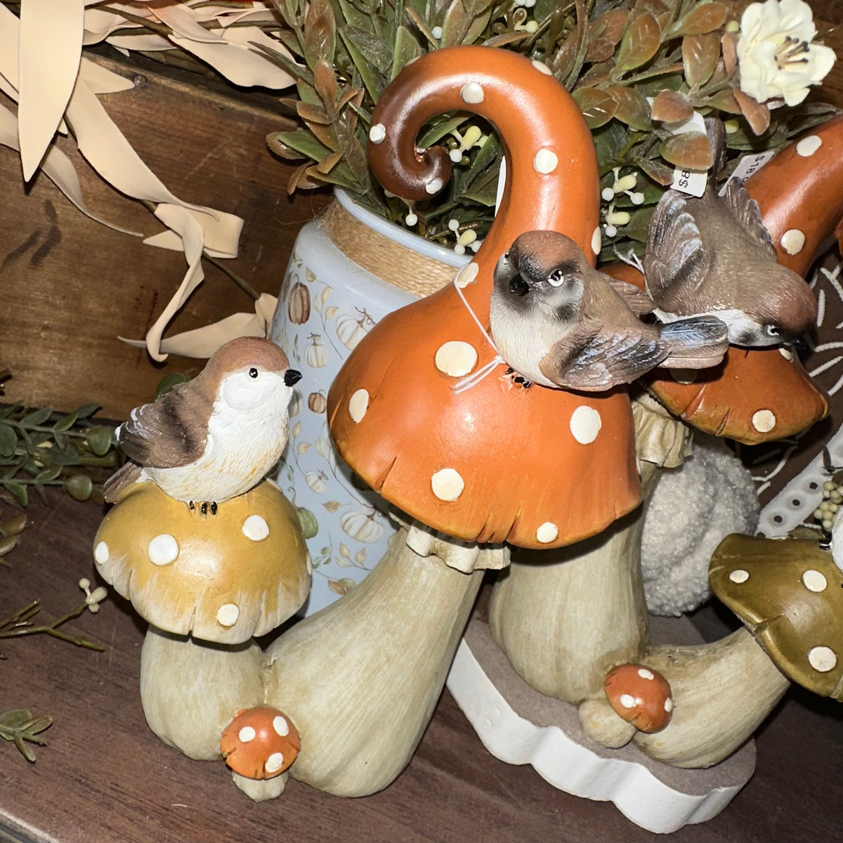 Harvest Mushrooms with Birds