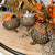 Harvest Woodland Animal