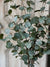 Iced Eucalyptus Spray | Taller | 30"