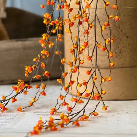 Briery Bittersweet Hanging Vine | 27"