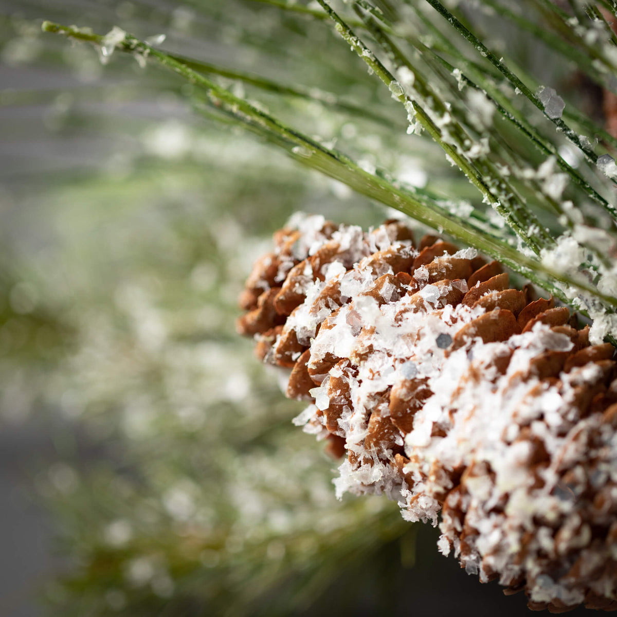 Long Needled Snowy Pine Spray | 14&quot;