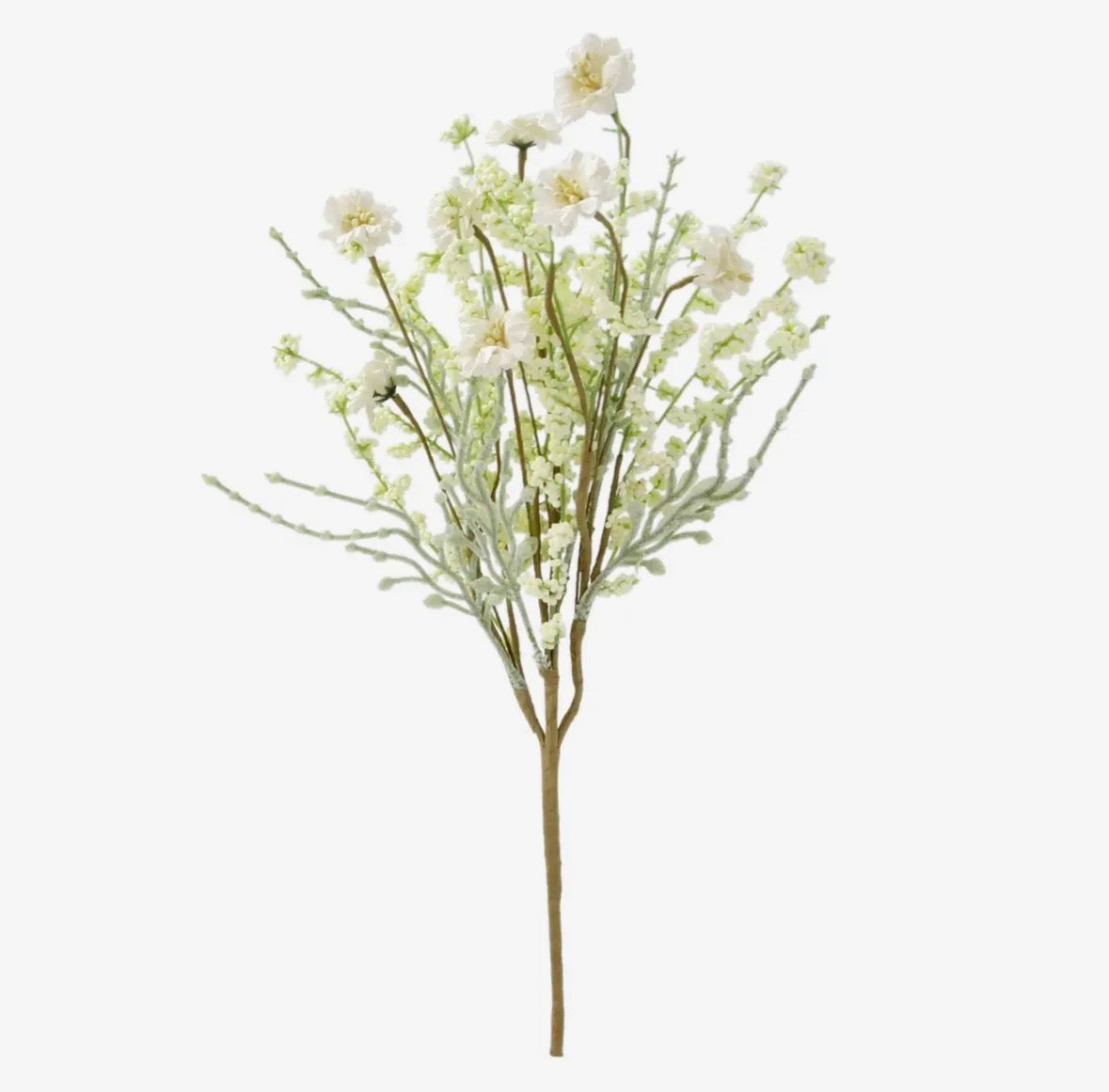 Cream Flower Stem | 2 Sizes