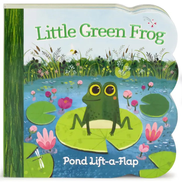 Little Green Frog | Board Book