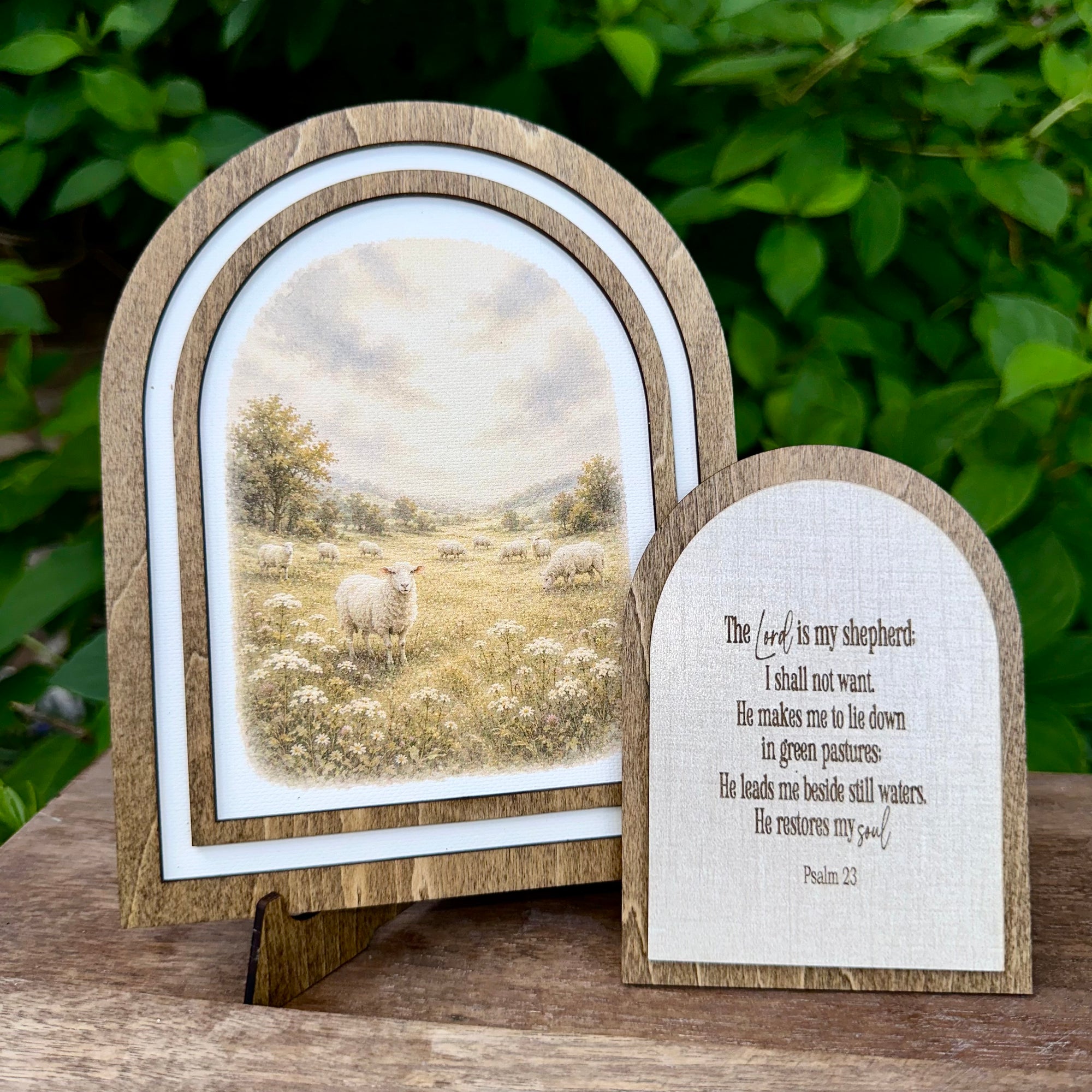 Meadow Sheep | Canvas Artwork