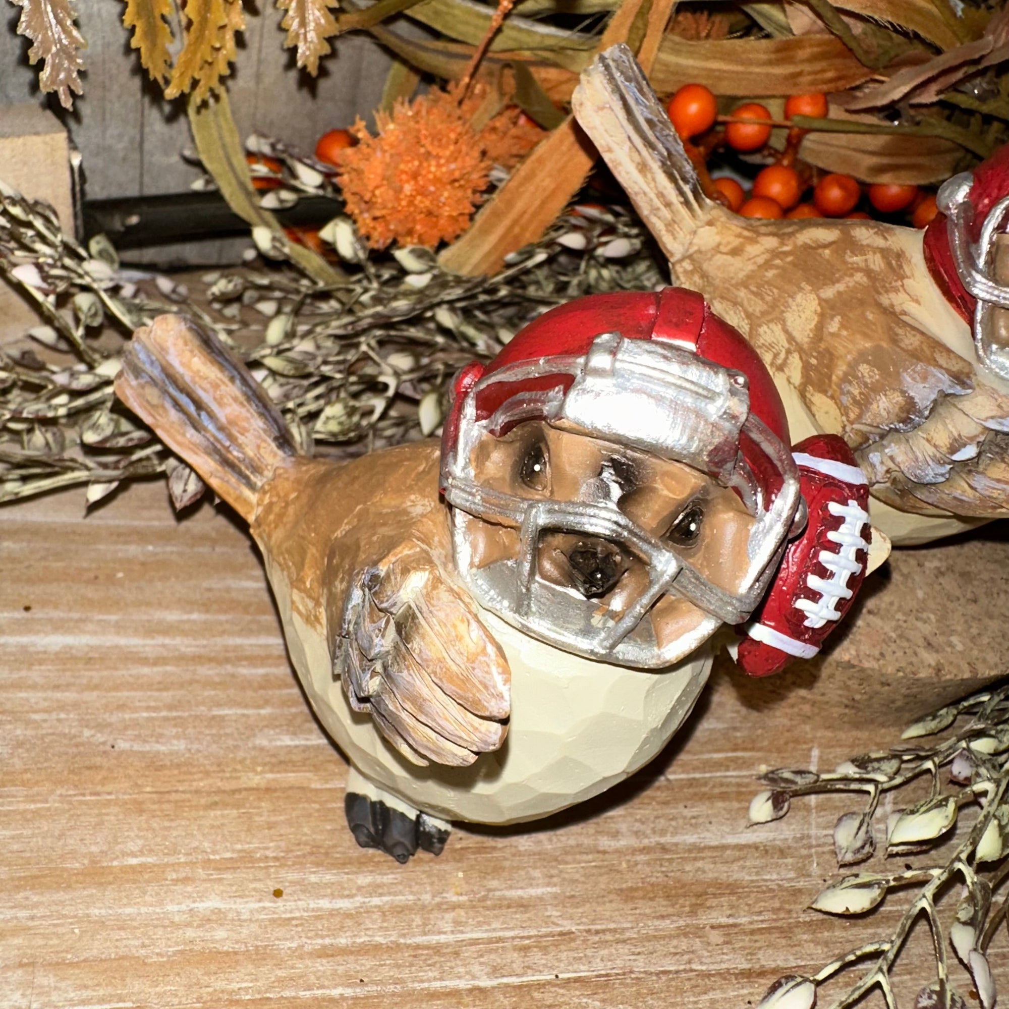 Harvest Bird Football Player