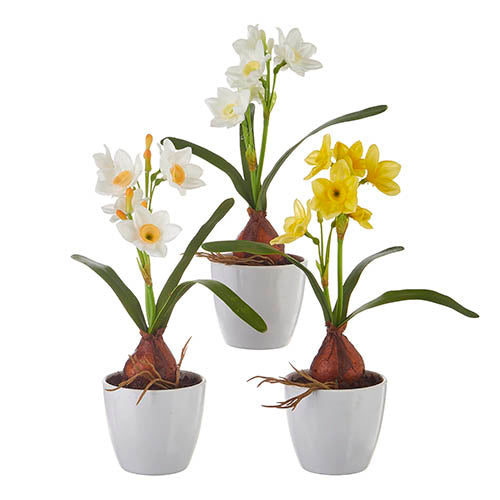 Daffodil Potted | Real Touch