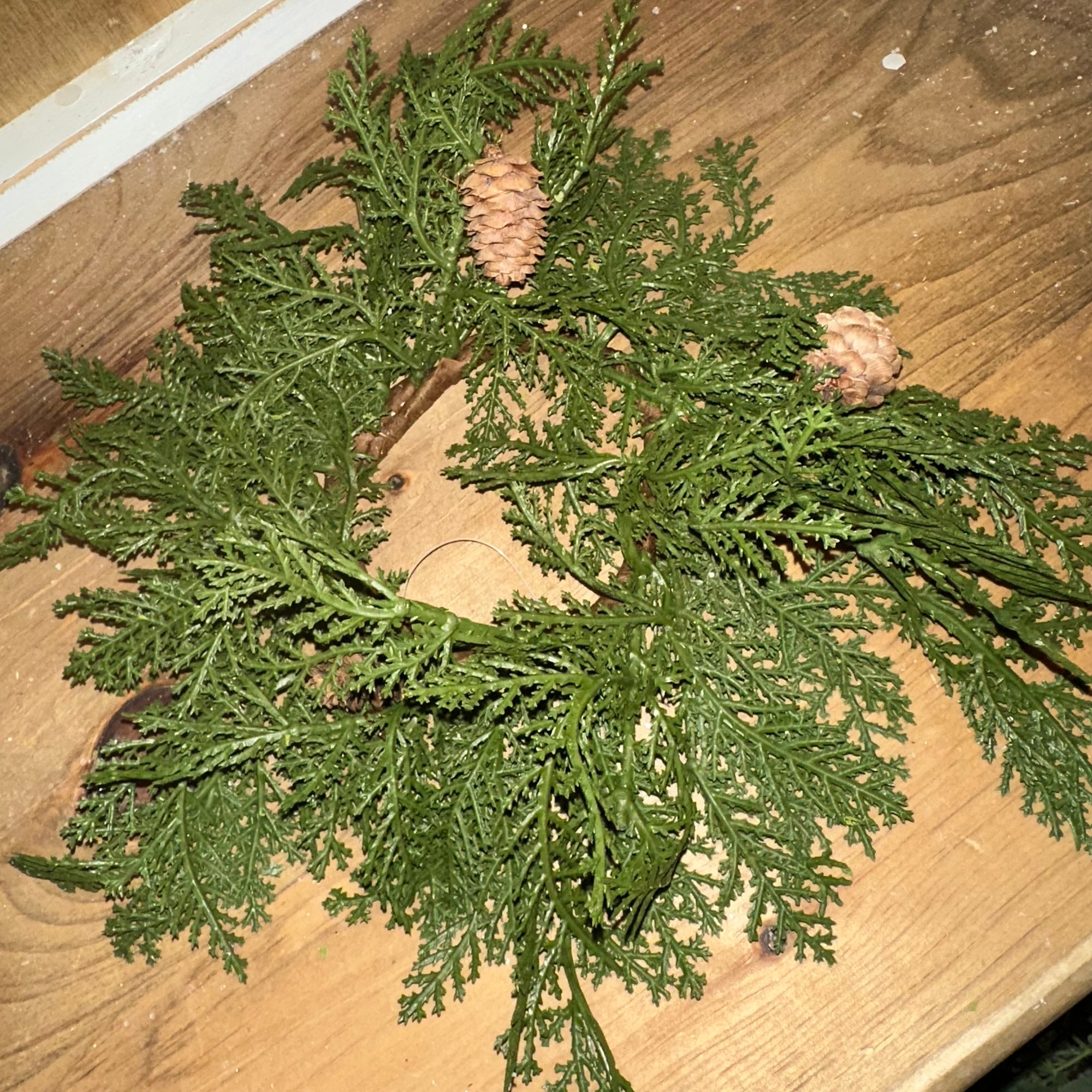 Cedar Pine Ring | Soft Touch