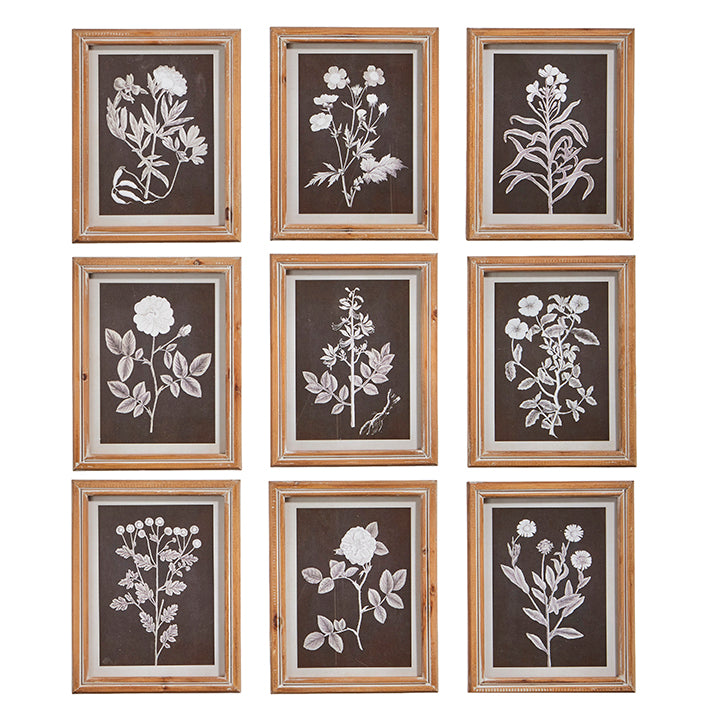 Botanical Floral Framed Print | 10&quot;