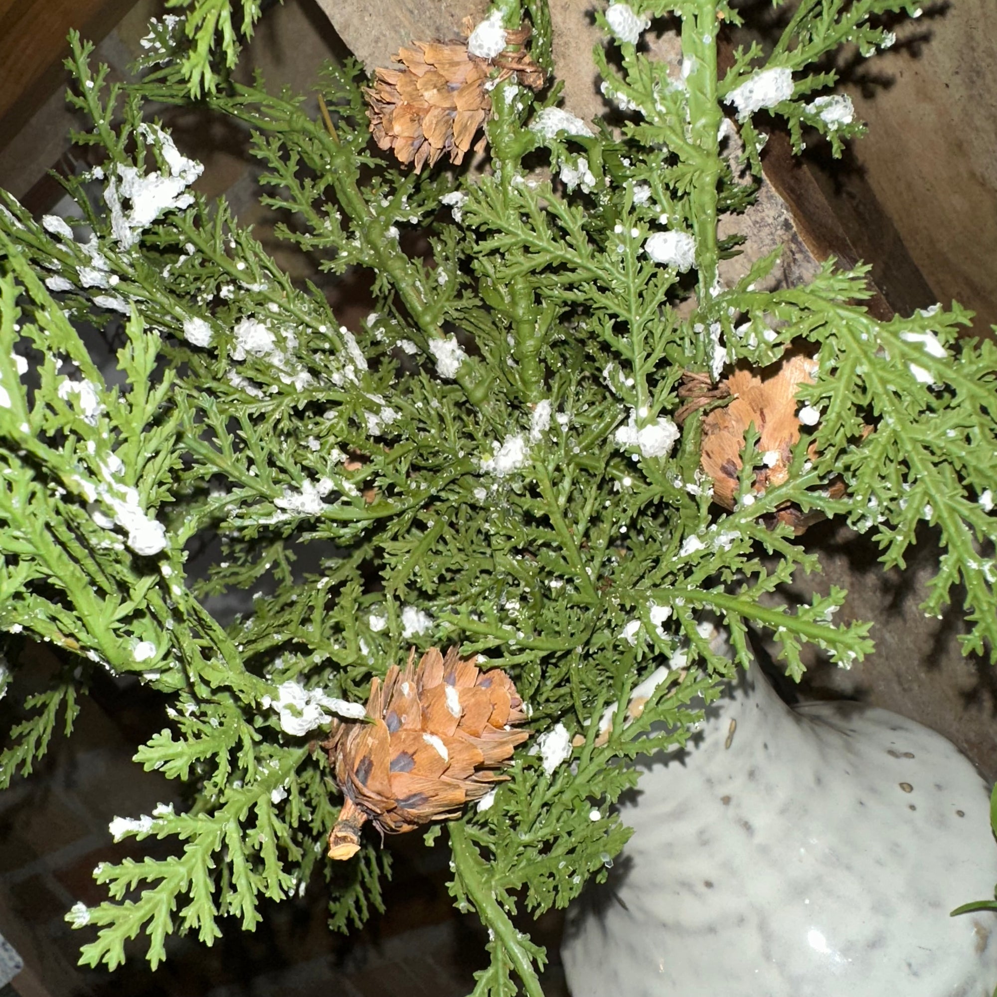 Snowy Cedar Pine Spray | Soft Touch