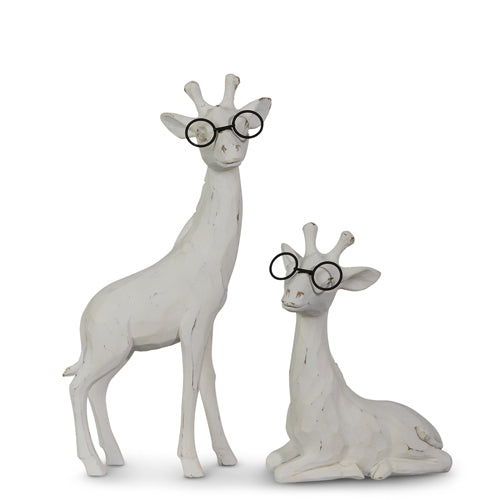 Giraffe with Glasses