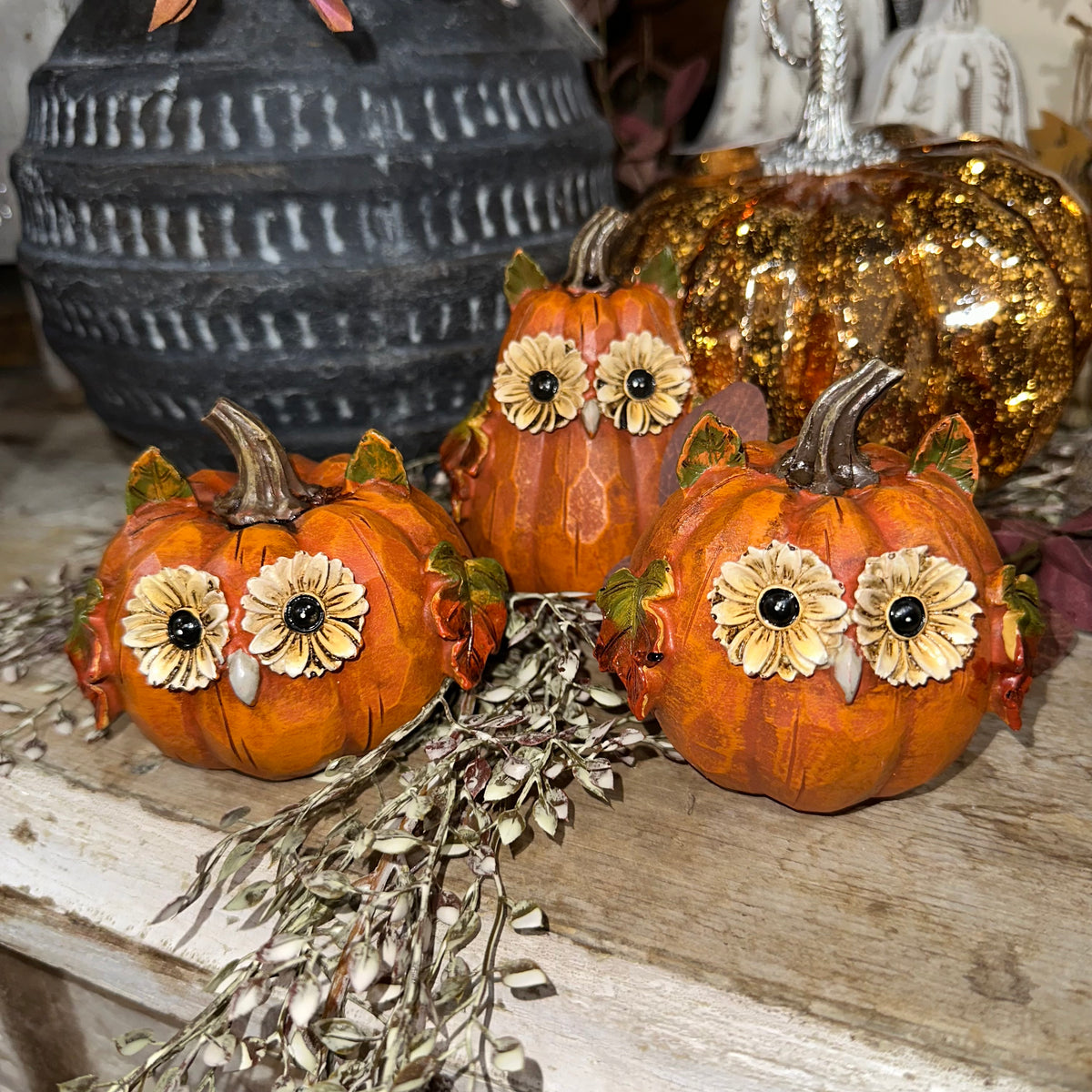 Harvest Owl Pumpkin
