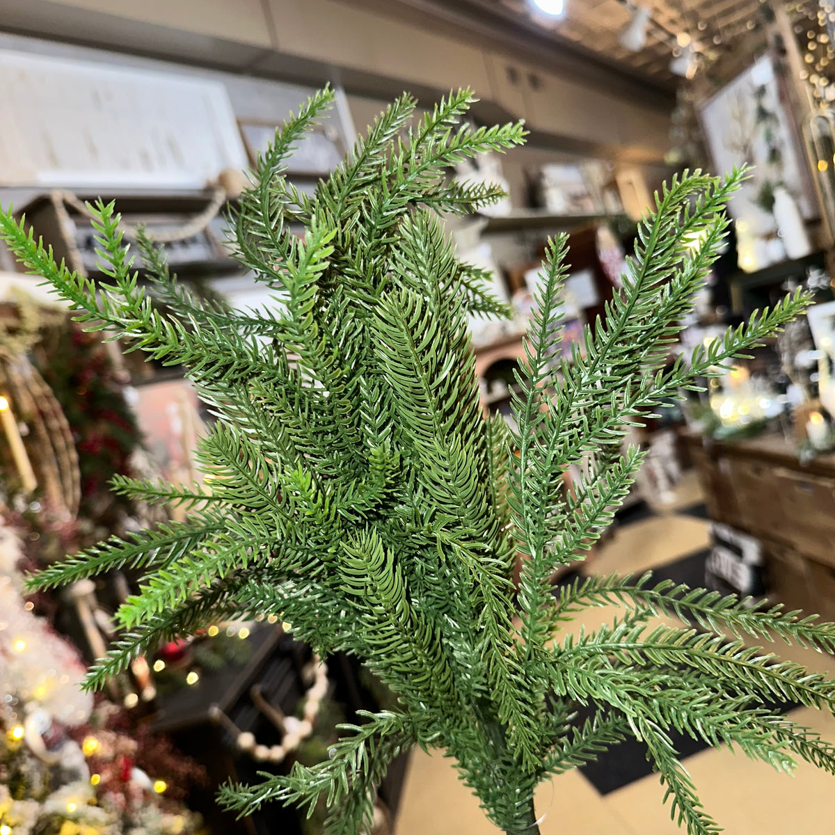 Pine Spray | Soft Touch