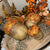 Harvest Acorn Sitter