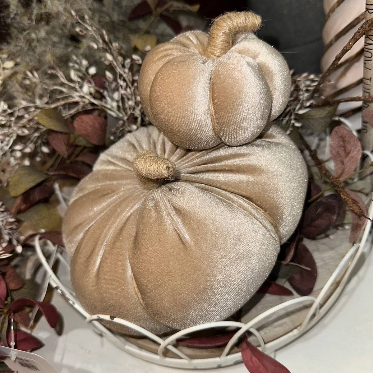 Beige Velvet Pumpkin | Fabric