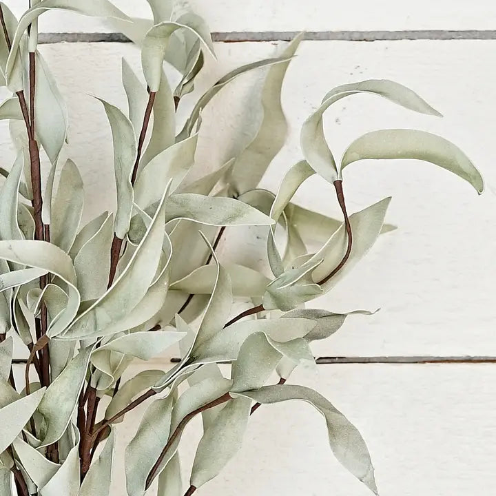 Leaves Spray | Sage