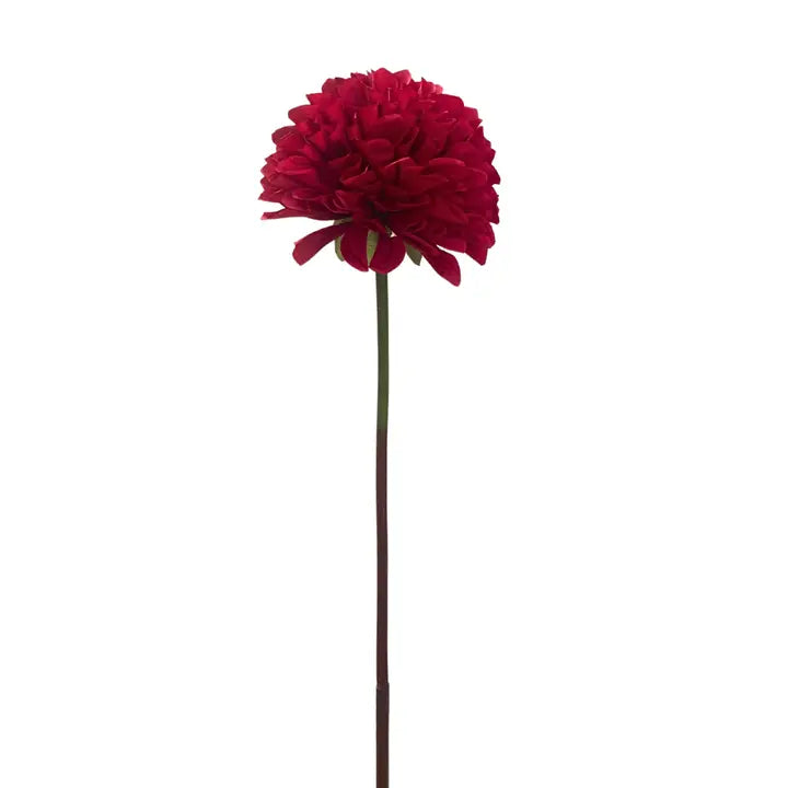 Chrysanthemum Stem | Red