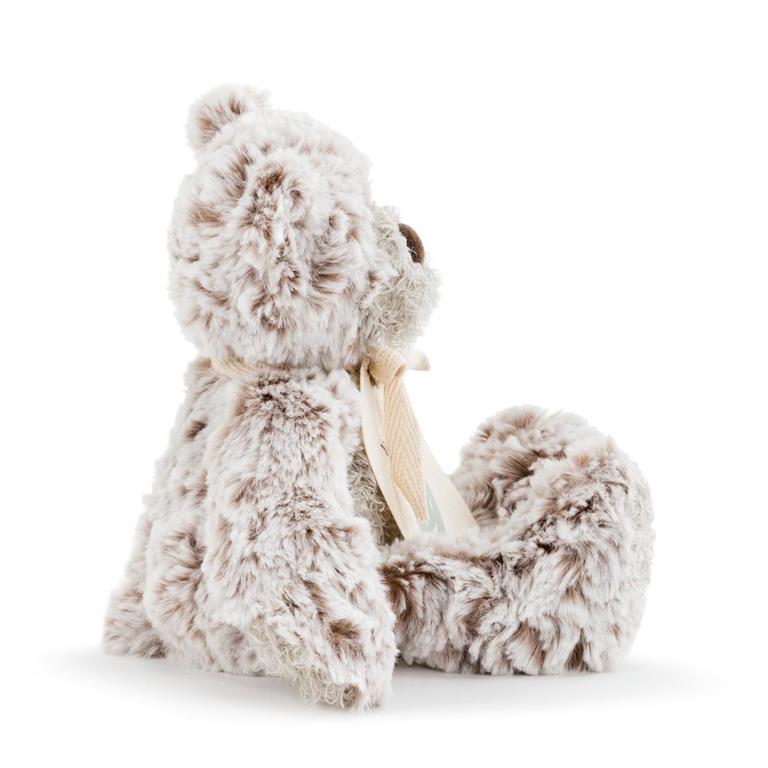 You&#39;ve Got This | Giving Bear
