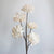 Blooming Flower Branch