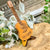 Guitar Pick Holder | Wisconsin | Wood Souvenir